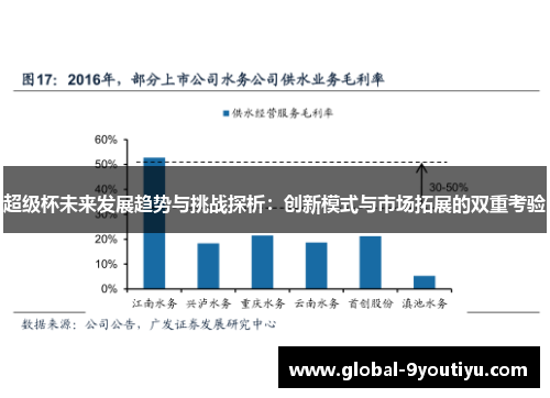 超级杯未来发展趋势与挑战探析：创新模式与市场拓展的双重考验