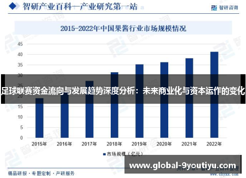足球联赛资金流向与发展趋势深度分析：未来商业化与资本运作的变化