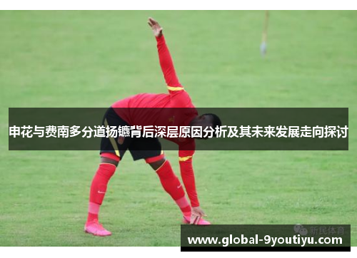 申花与费南多分道扬镳背后深层原因分析及其未来发展走向探讨